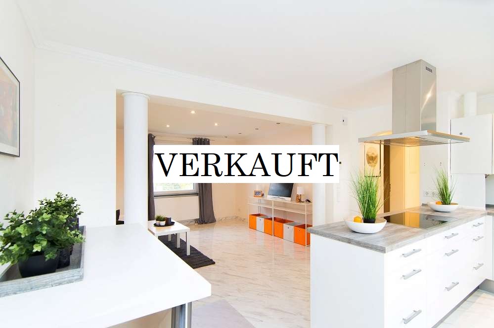 offene Küche und Wohnzimmer