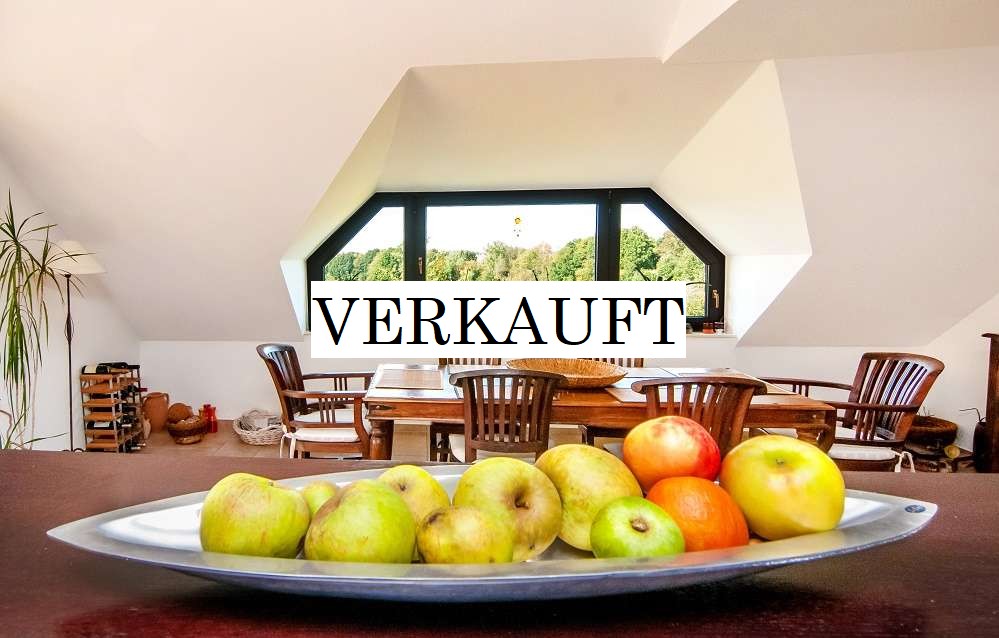 Wohn-,Esszimmer-offene Küche